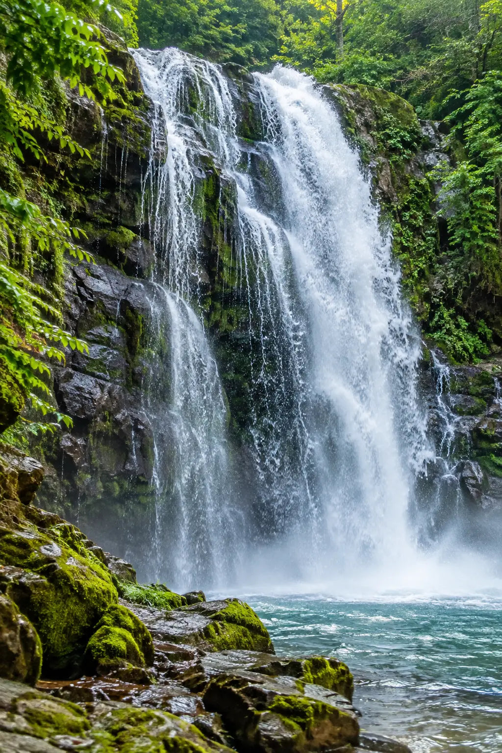 inspirée par l’eau